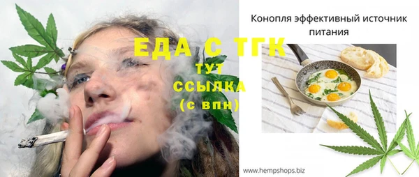 мет Ельня