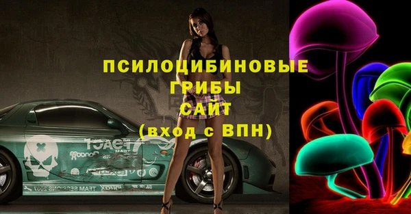 сатива Елизово
