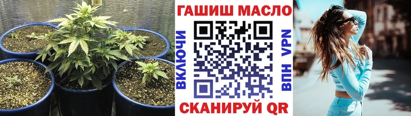 дарнет шоп Монино Дистиллят ТГК Wax
