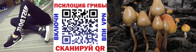 это наркотические препараты  Монино  Псилоцибиновые грибы MAGIC MUSHROOMS  цена наркотик  ОМГ ОМГ вход 